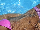 Sea Mountain Resort - Desert Hot Springs