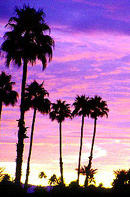 Sea Mountain Resort - Desert Hot Springs