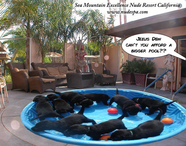 Sea Mountain Nude Lifestyles Spas