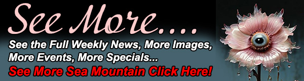 See More Sea Mountain