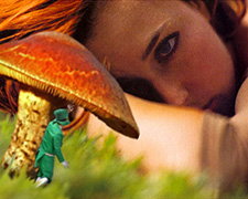 ST Patrick's All-inclusive Costume Events the Lifestyles Most Erotica Waterworld Fire D@nce Events - One of the Sea Mountain's most infamous pool and fire events!