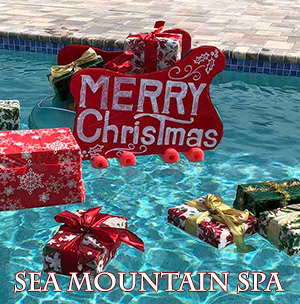Sea Mountain -B@BES IN NYE DEC 27 SPECTACULAR NEW YEARS P@RTY